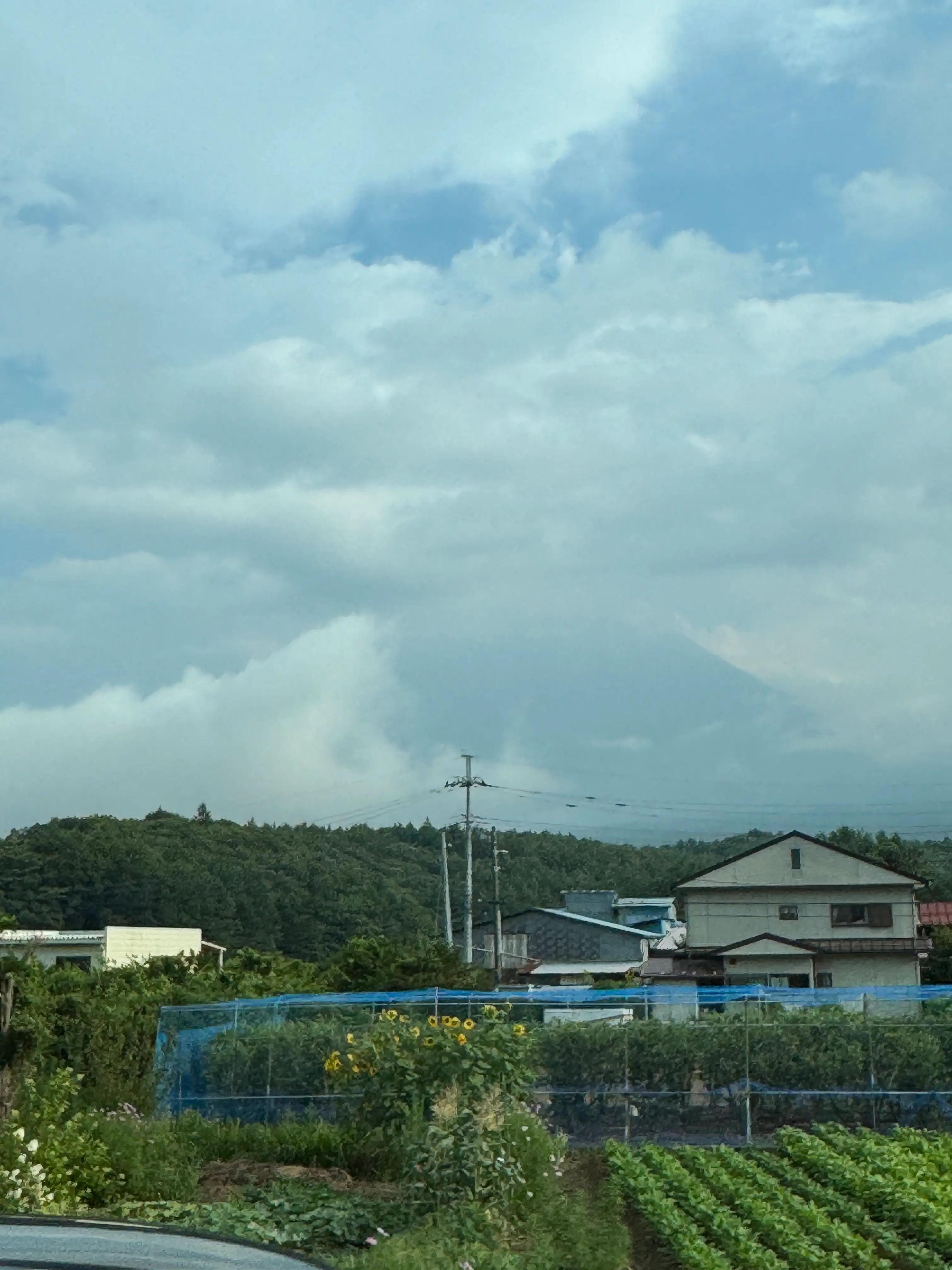 Mount Fuji?